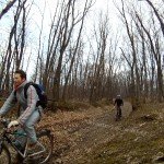 Tura de relaxare cu bicicleta in Judetul Arad