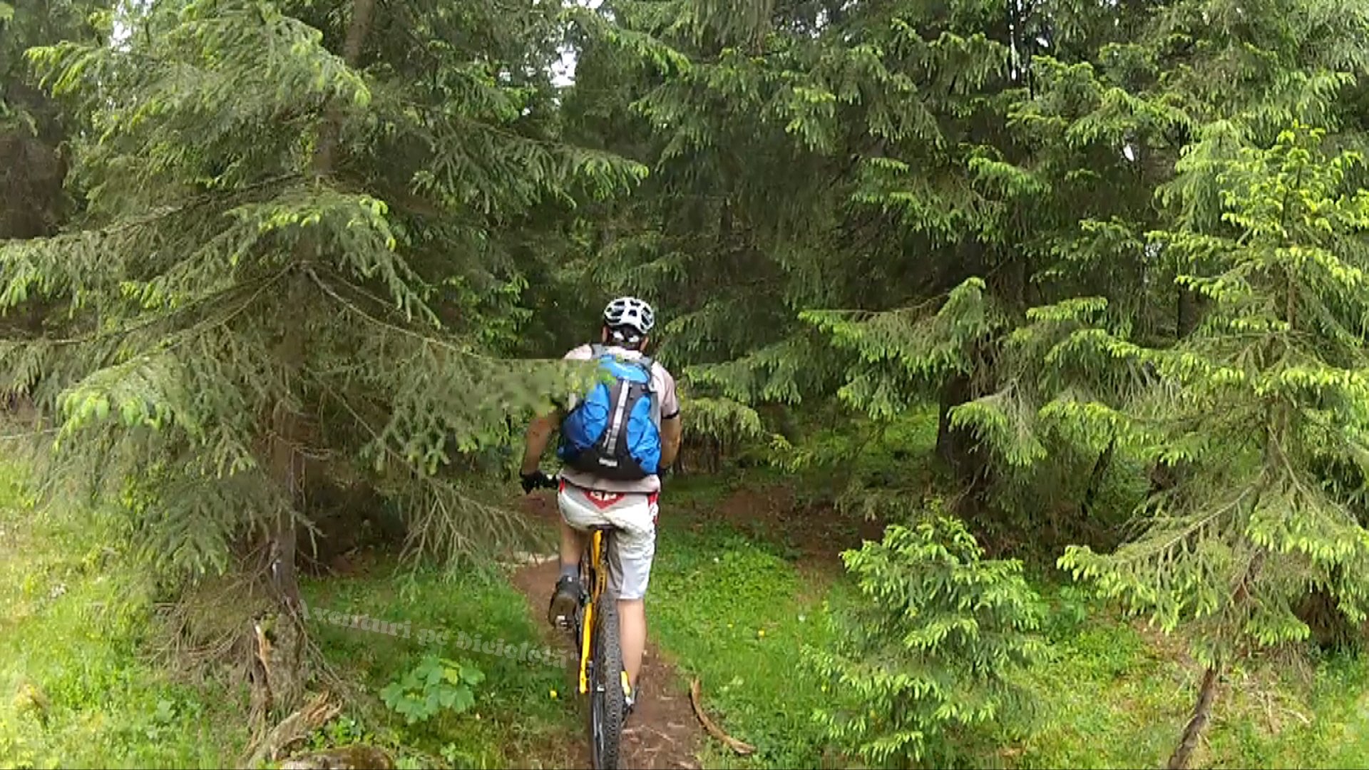 Aventuri pe bicicleta Prin Muntii Apuseni pe traseul Padis Glavoi Sudrigiu 1